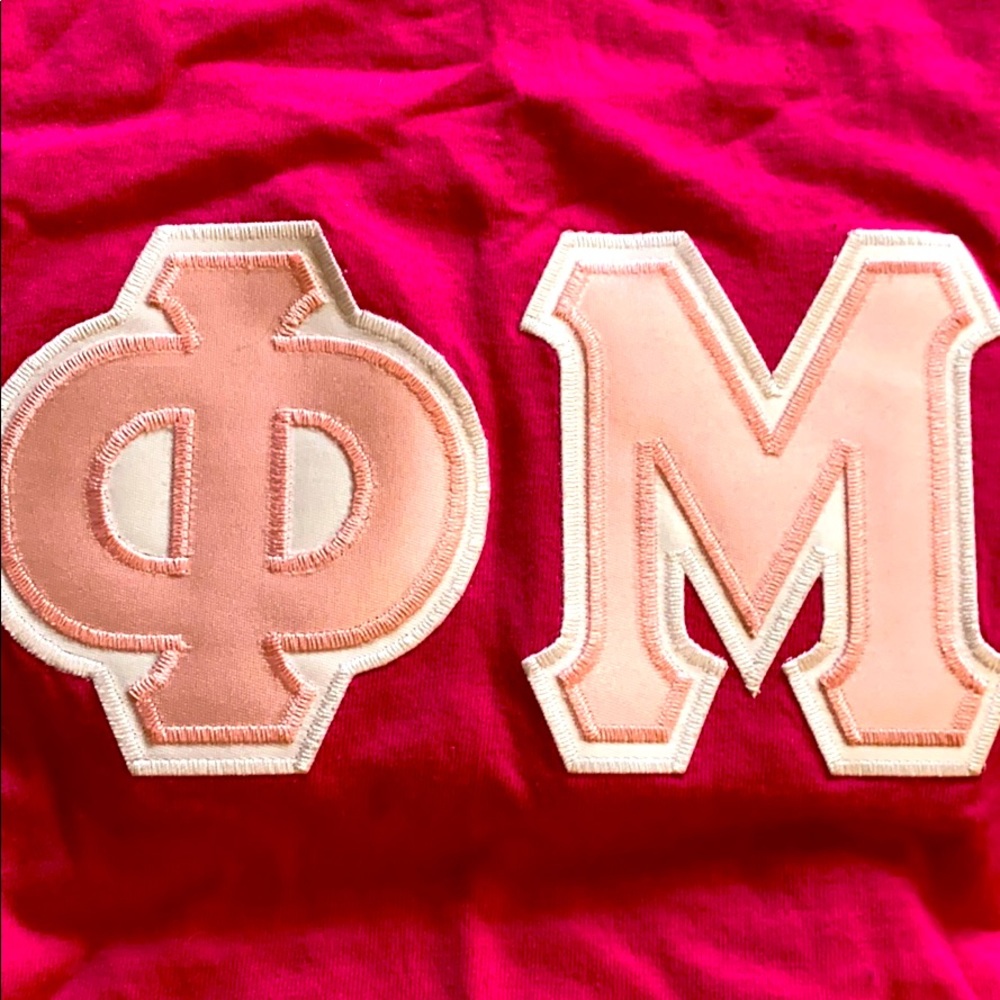 Small Gildan Tee- Phi Mu